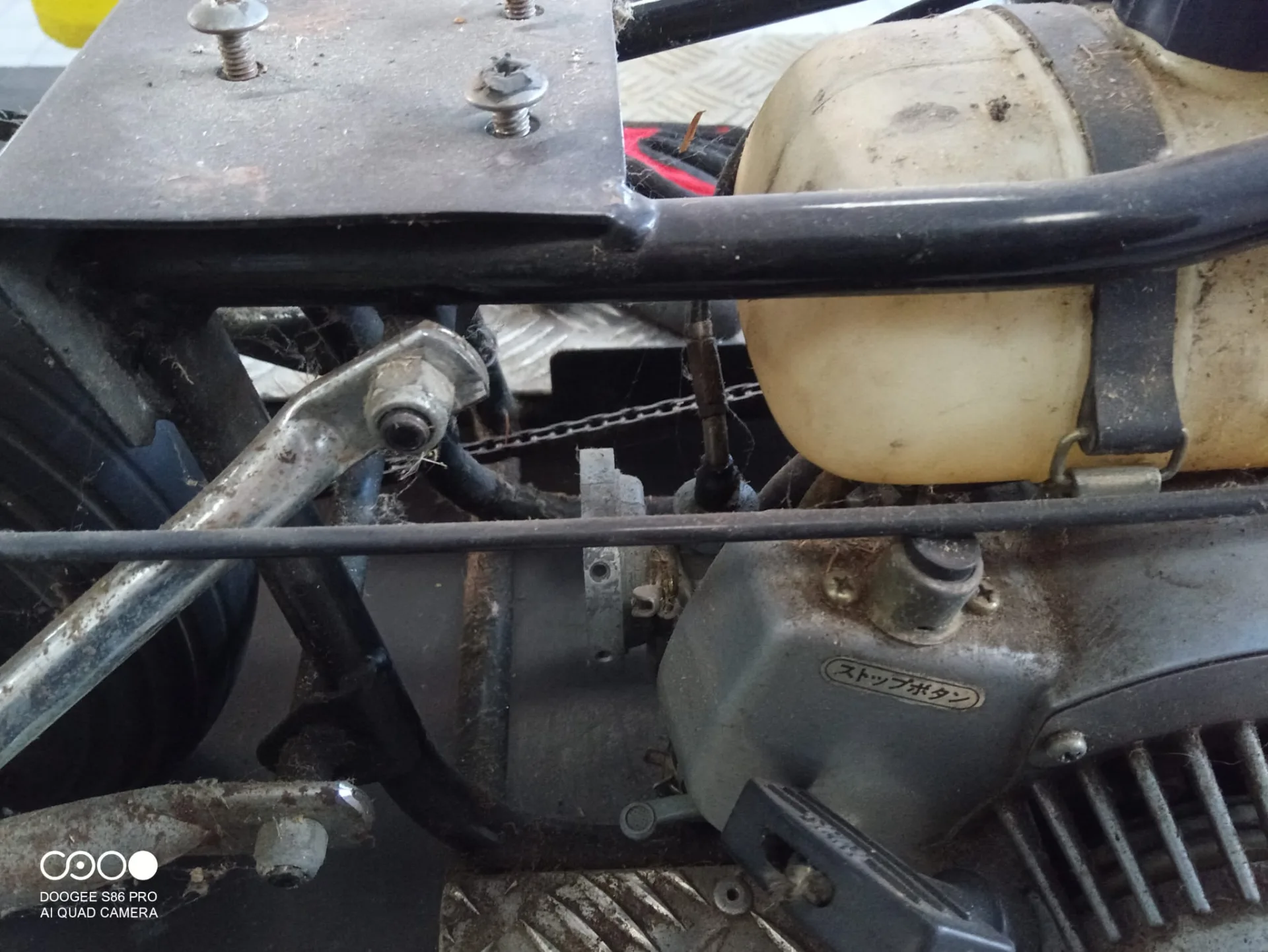 Vollrestauration